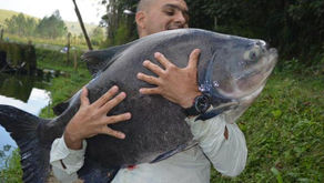 Equipe Fishingtur em pleno inverno no Pesqueiro Monte Negro com a captura de grandes e bons peixes.