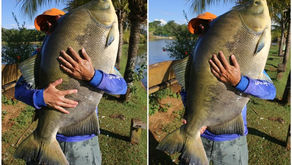 Silvestre Resort - Rio Verde - GO: a Morada dos Gigantes