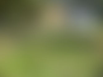 Residential Vacant Land For Sale at Ninnakkarai- Rs.2.16Cr (Code :AA000691)