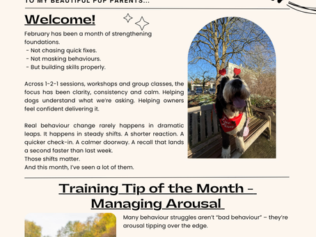 February 2026 Newsletter