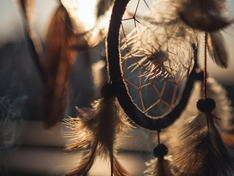 Dreamcatcher by Liz Houghton