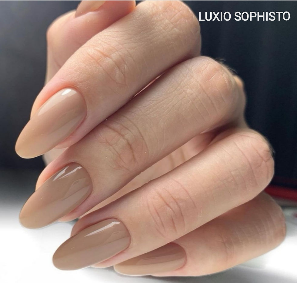 תמונה ממוזערת: Luxio SOPHISTO