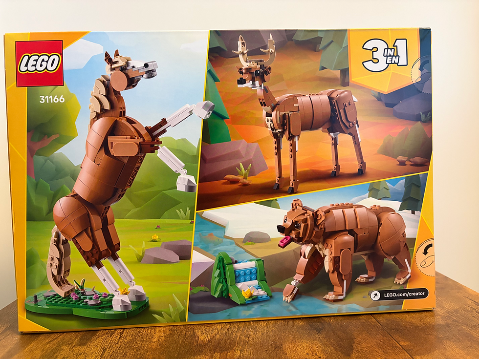 Thumbnail: 31166 Beautiful Horse