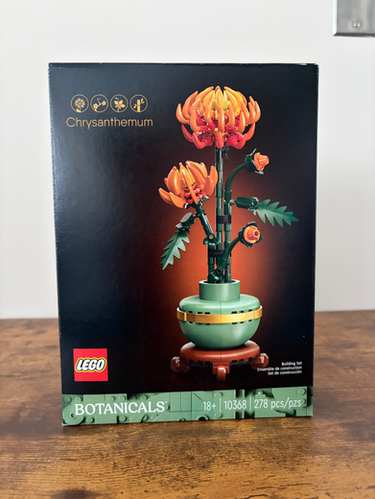 10368 Chrysanthemum | Brick Rental