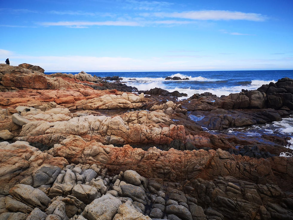 Hintergrund Angebot.jpg