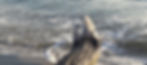 hintergrund kontakt.jpg