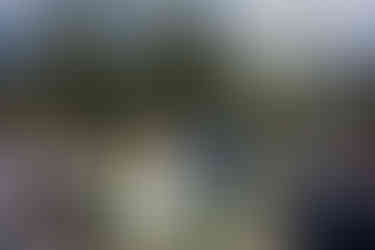 bride and groom holding hands at wedding ceremony