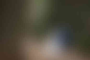 back view of bride and groom walking away hand in hand