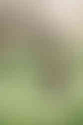 Back view of toddler with her hands clasped behind her back