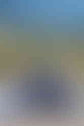 groom posing with bridesmaids laughing