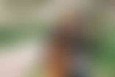 Mom, Dad and baby girl sharing a laugh together