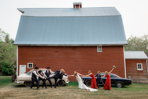 funny photo of bridal party