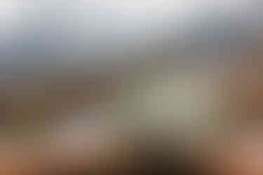 flatlay of delicate wedding details and converse shoes