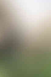 Back view of Dad and baby girl walking