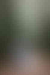 bride and groom kissing outdoors