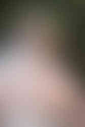 back view closeup of bridal veil