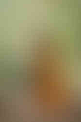 back view of mom and baby girl walking hand in hand