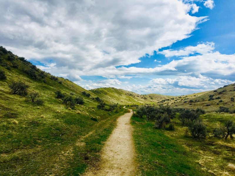 Treasure Valley Women in Tech Summer Social