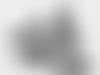 The Chronicles of a  Life Spent Waiting for the Bus