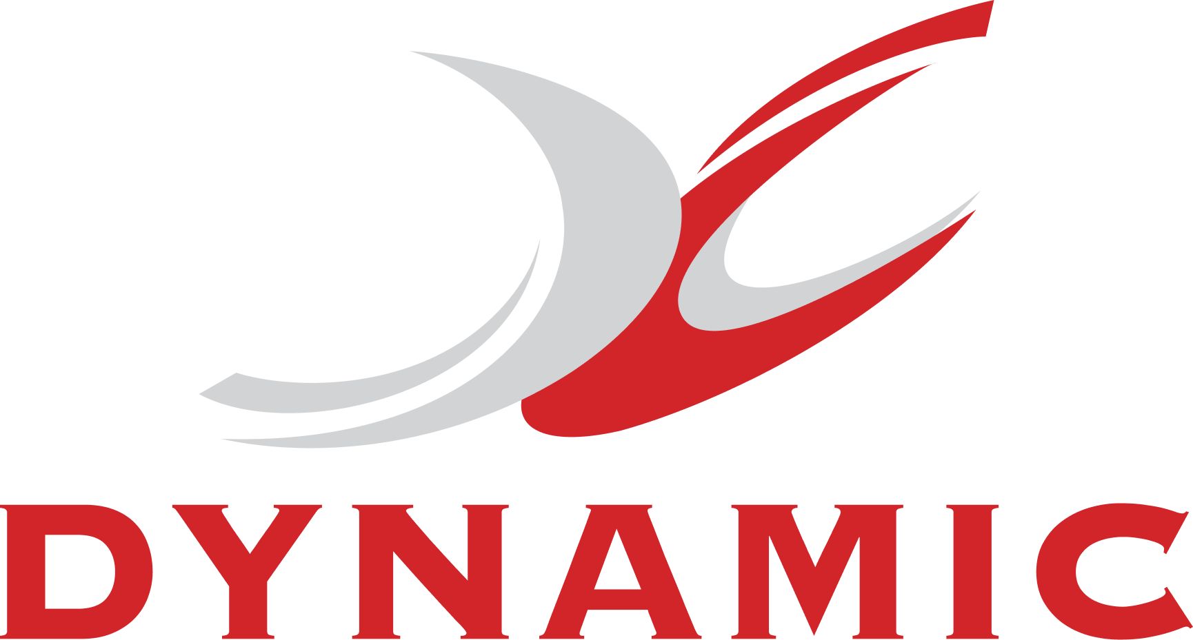 Dynamic Crane Engineers Private Limited Logo