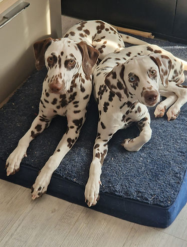 Leni und Stella