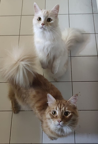 Lucy und Boris