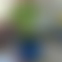 Vestibular: ejercicios y juegos para mejorar este sentido