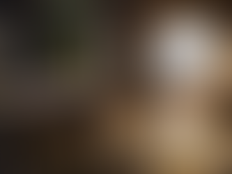 GUILLERMO DEL TORO'S FRANKENSTEIN Review (A Second Opinion from Stew)