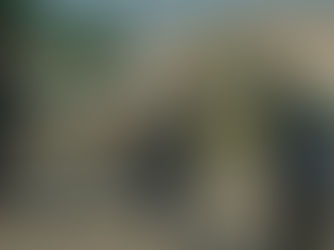 DIDI Lands the Ollie - gloriously