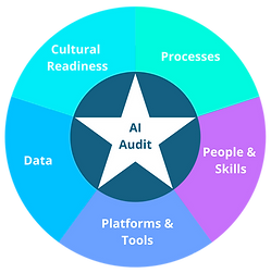 AI Audit Wheel_edited.png