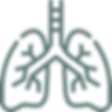 lung.png