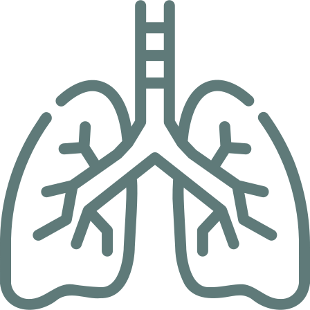 lung.png