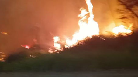 Incêndio de grandes proporções atinge área de mata próxima à ERS-118 em Gravataí