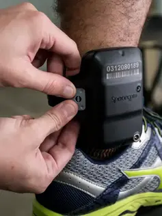 Senado aprova tornozeleira eletrônica imediata para agressores de mulheres