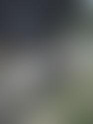 Homem foge após atropelar companheira em Cachoeirinha