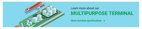 screencapture-www-serviceterminal-com-te