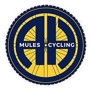AH Mules tile.png