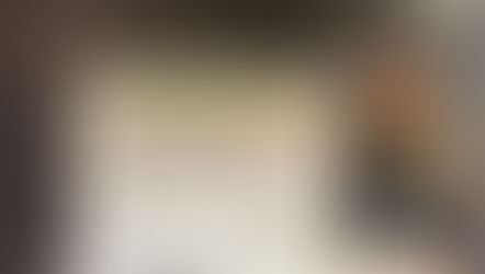 Teona presents at the SOLUR Symposium!