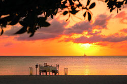 Dinner on the beach