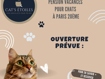 UNE PENSION POUR CHATS OUVRE SES PORTES LE 7 AVRIL 2023 !