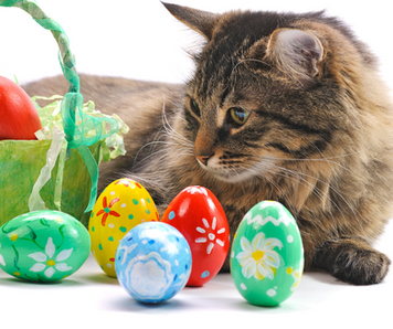 Vacances de Pâques Cat's Étoiles Paris