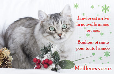 BONNE ANNÉE 2024 À TOUTES ET À TOUS !