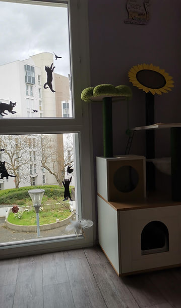 Pièce des chambrettes Cat's Étoiles Paris