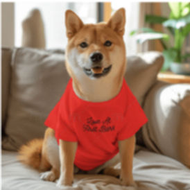 websitepic3_edited_edited.jpg