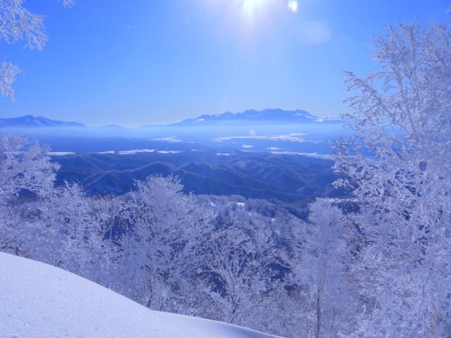 霧氷