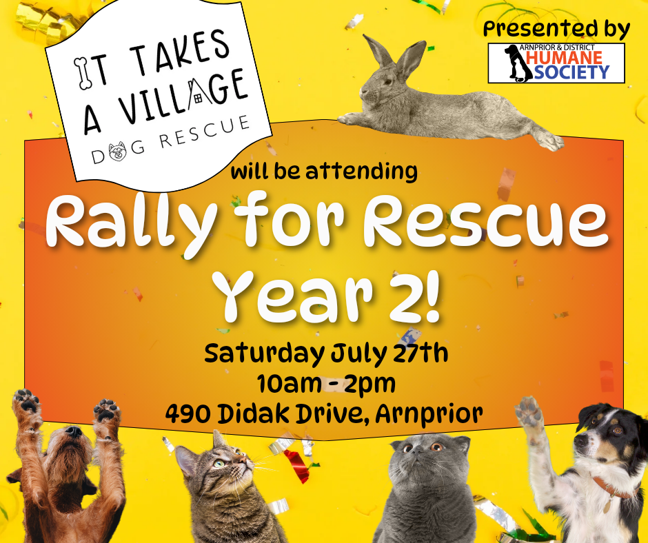 Rally for Rescue