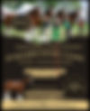 Eastern Regional Clydesdale Assoc Dance