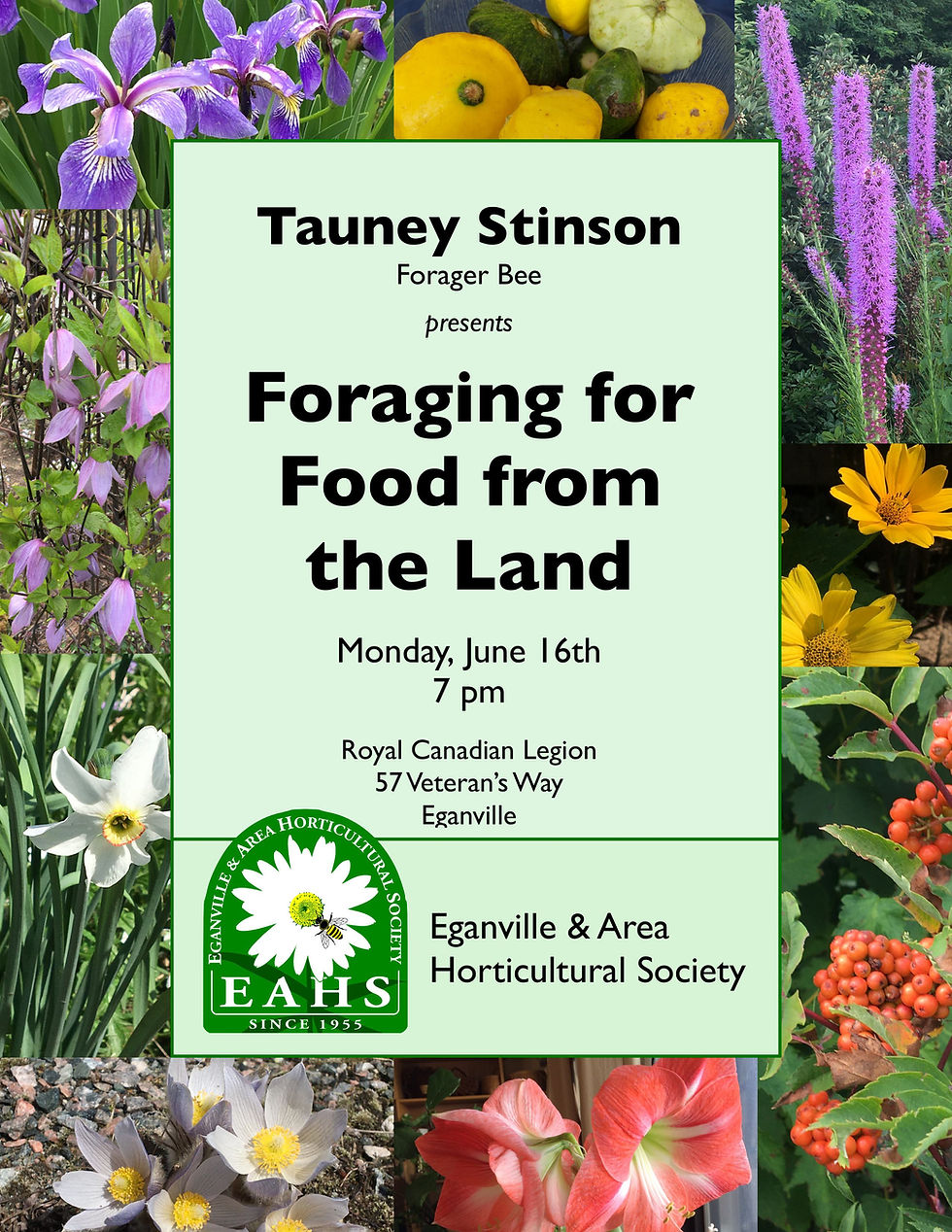 FORAGING FOR FOOD  FROM THE LAND