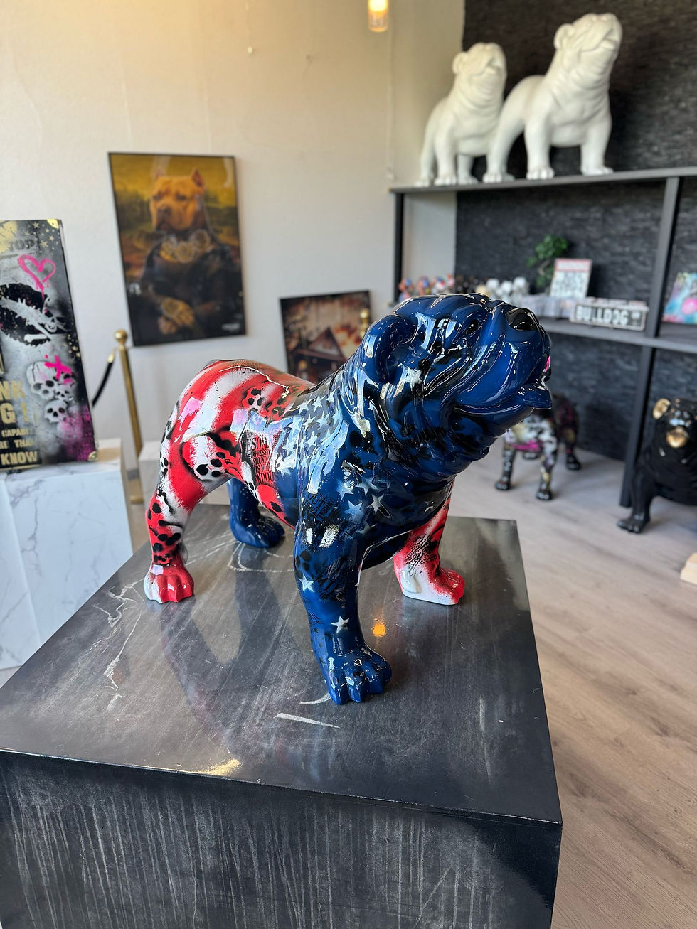 English Bulldog