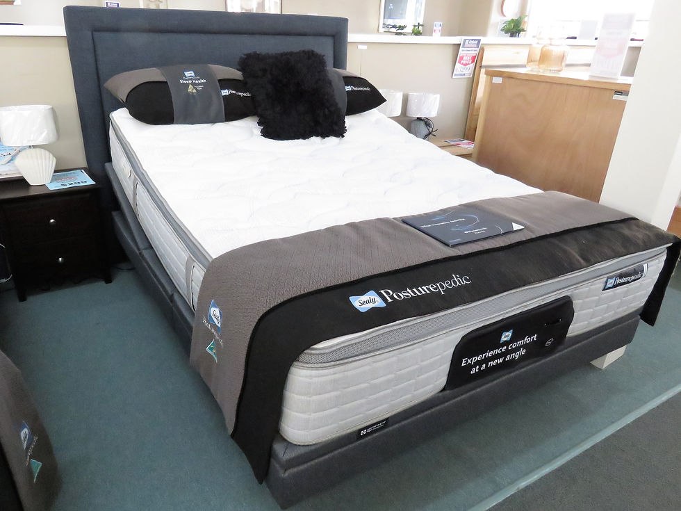 Sealy Energise Adjustable Bed with Queen Posturepedic Hallet Plush